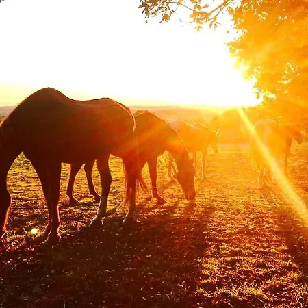 Bed & Breakfast Domaine Villoire Cassagnes (Lot)