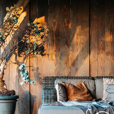 Domaine Villoire Oda ve Kahvaltı Cassagnes (Lot)